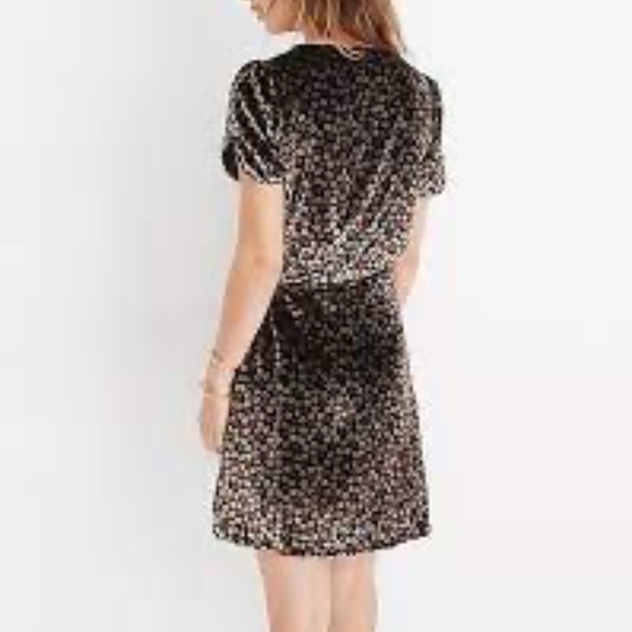 Madewell Velvet Floral Dress - Picture 2 of 3